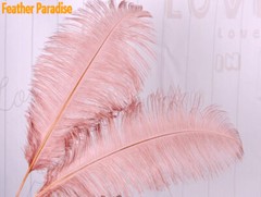 Dark Blush Pink 12 Pieces Ostrich Feather 12-14 inches Dozen Wedding Centerpice