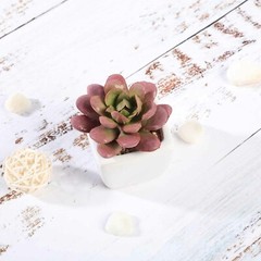 Orange Burgundy Green 3″ Mini Faux Succulent Plants Pots Centerpieces Sale