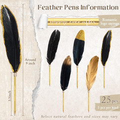 25 Sets Feather Pen Wedding Favors Bulk Bridal Shower Quill Ballpoint Pens Gold