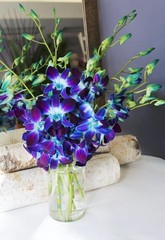 – Blue Sapphire Orchid Bouquet of 10 Fresh Blue Orchid with Vase –