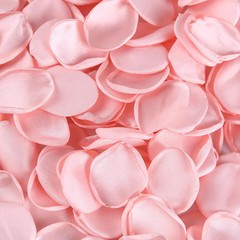 100/200Pcs Silk Rose Petals Artificial Wedding Decoration Party DIY Craft 4cm