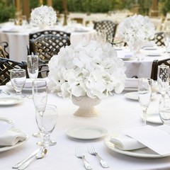 Hydrangea Flower Balls for Centerpieces – 12 PCS Artificial Floral Arrangemen…