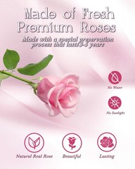Preserved Flowers Gifts for Her,Preserved Rose Bouquet in Glass Pink