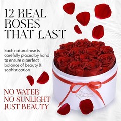 GLAMOUR BOUTIQUE Flowers Forever Gift Box, 12 Real Preserved Roses in 12, Red