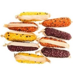 Vintage Indian Corn Thanksgiving Autumn Fall Decor 5″ Faux Maize Lot of 9