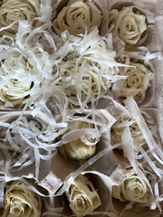 Rose buds in boxes 12 each real ivory roses preserved but still feel fresh