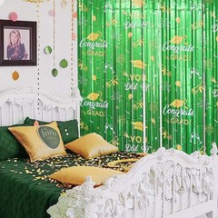 2 Pack Graduation Foil Fringe Curtain 3.3Ft x 6.6Ft Green Gold 2025 Graduatio…