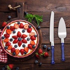Blue Cake Knife and Server Set Cake Server & Knife Set of 2 with Acrylic Handles