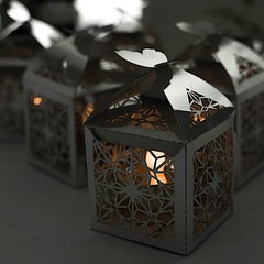 SILVER 25 Lacer Cut Lace Design FAVOR BOXES with Butterfly Top Party Decorations