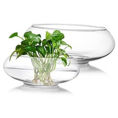 2 Pack Glass Vase Bowl, 6″/ 8″ Wide Mouth Flower Vase Round Terrarium, Glass