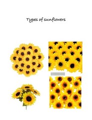 Sunflower boutonniere