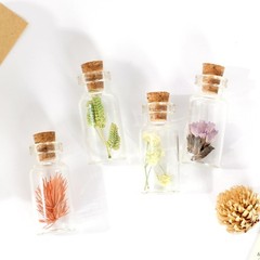 Magic Season Tiny Decorative Glass Bottles (24 Pcs / 0.6×1.5 inch) Transparent