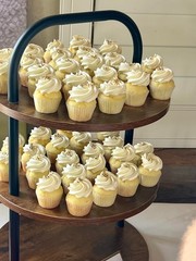Cupcake Stand Wooden Cupcake Stand for 50 Cupcakes 12″ x 18″