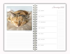 2026 Weekly & Monthly Planner, 16-Month Engagement Calendar: September Cat Naps