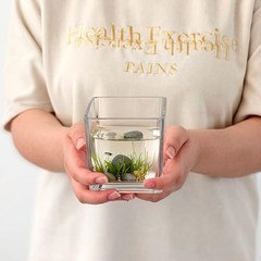 Set of 6 Square Glass Vases for Centerpieces – 4″ x 4″ x 4″ 4in-6pcs Clear