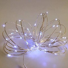 2 Pack Battery-Operated Mini Lights – Indoor Led Fairy Lights with Cold White