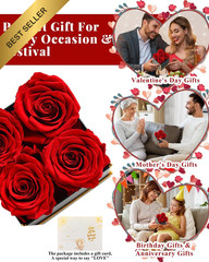 Changshunqi Forever Flowers, Preserved Roses in a Box, Eternal Rose Red