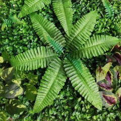 9*Artificial Plant Wall Panel Grass Hedge Vertical Garden Backdrop Decoration US