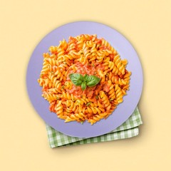 Snomel 11 Inch Dinner Plate Set Extra Large Pasta Plates Unbreakable Dishes