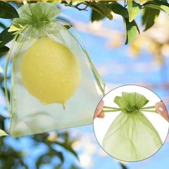 Pack of 100 Gift Organza Bags with 5×7 inch 1 Count (Pack of 100) Light Green