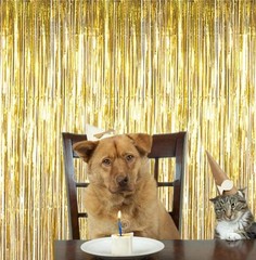 2 Pcs 3.2ft x 8.2ft Shiny Gold Metallic Tinsel Foil Fringe Curtains Photo Boo…