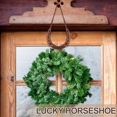 VioraWhite Good Lucky Horseshoe Decor Gift Sets with Card Rope New Home