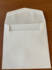 (25) DIY Printable ivory Flat sq 5 5/8″ Cards & (25) Envelopes wedding party