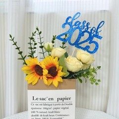 ALISSAR 12 Pack Pre-assembled Double Sided Class of 2025 Graduation Blue