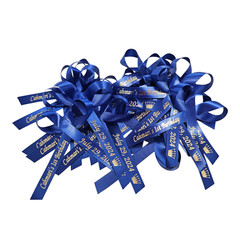 Personalized Ribbon Bow Wedding Favor Baby Shower Birthday Bridal 25 Quinceanera