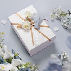 24 Pcs Acrylic Place Cards Wedding Clear 3.54×1.77 Inch Blank Dusty Blue Ribbon