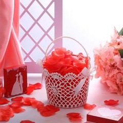 2 Pieces White Flower Girl Basket with Silk Ribbon Bowknot for Wedding Petals