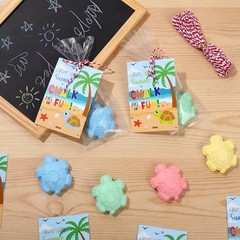 Set Sidewalk Chalks for Kids End of Year Student Gifts Bulk 24 Turtle