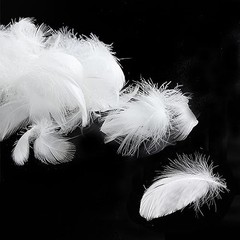100Pcs White Goose Feathers – 3-5inches Natural White Feathers for DIY Crafts