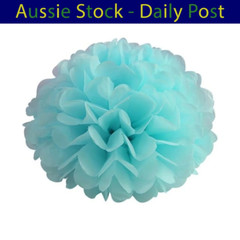 Pom Poms Tissue Paper Pompoms Wedding Baby Shower Birthday Party 6″-10″ 5pcs