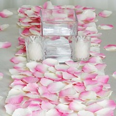 4000 Pink Silk Rose PETALS Wedding Party Decorations Supplies WHOLESALE SALE