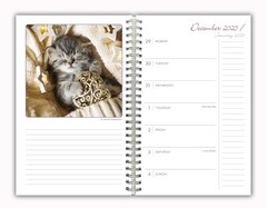 2026 Weekly & Monthly Planner, 16-Month Engagement Calendar: September Cat Naps