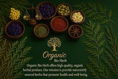-Echinacea Dried Flowers – Natural, Premium Quality