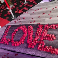 2000 PCS Silk Rose Petals, Artificial Flower Petals for Wedding Party,