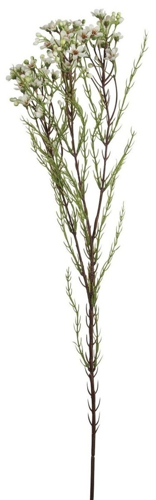 Mr. MJs Trading AI-FL3957CRW White Wax Flower Stem Artificial Flower