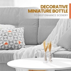 BULK PARADISE Small Mini Clear Vintage Glass Bottles with X-Small,
