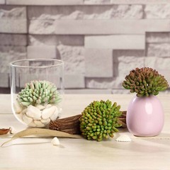 3 Green 4″ Assorted Faux Jelly Bean Succulent Sprays Stems Wedding Centerpieces