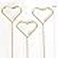 40Pcs Floral Picks Card Holders Bouquets Wedding Centerpieces Photo Sticks New