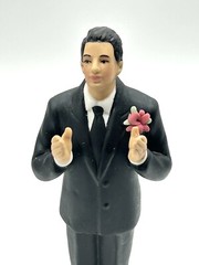 East Indian Groom Wedding Cake Topper Man Weddingstar True Romance Porcelain