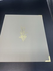 ZICOTO Wedding Modern Ring Binders Beige & Sage Green