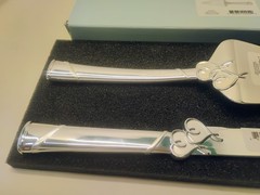 Lenox 812615 True Love Cake Knife & Server, Metallic N/O