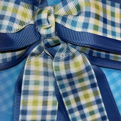 2 Pack Checkered Blue , White & Lime