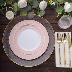 BLUSH ROSE GOLD 10 Round 10″ Plastic Dinner PLATES Spiral Rim Design Party