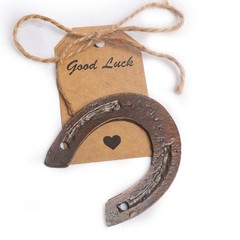 10/20/40 pcs Lucky Horseshoe Mini Decor Wedding Favors for Guests Vintage Metal