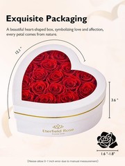 Eterfield 16 Forever Flowers in Heart Shape Box, Preserved 16 Roses, Red