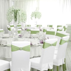 100 Sage Green Spandex Stretch Chair Sashes Bow with Slider Buckle Wedding Décor